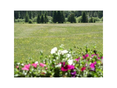 Apartment Appartement 1 - Features photo 23