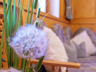 Holiday room Komfort-Doppelzimmer mit Zusatzbett 6 - Outdoor photo 43