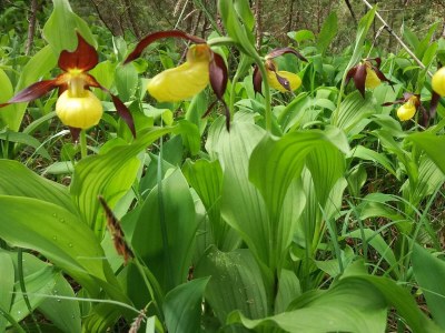 Apartment Appartement 1 - 6 Personen - Outdoor photo 18