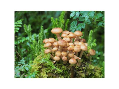 Holiday room Mehrbettzimmer 11 - Outdoor photo 16