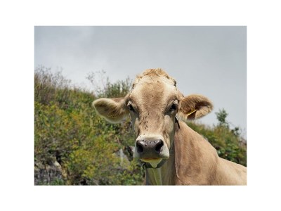 Holiday room Mehrbettzimmer 12 - Outdoor photo 17