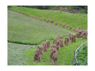 Holiday room Doppelzimmer 16 - Outdoor photo 42
