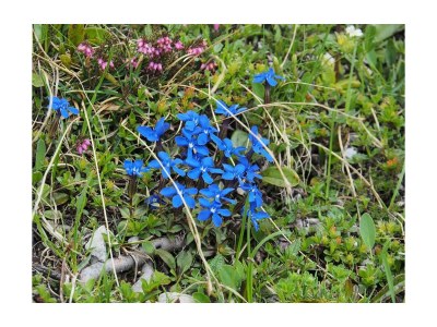 Holiday room Doppelzimmer 20 - Outdoor photo 14