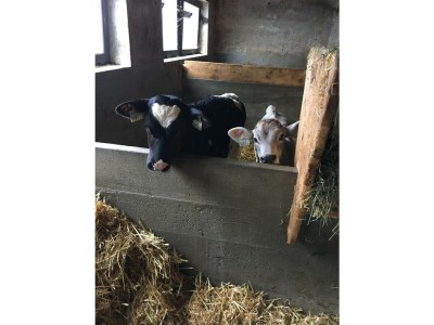 Apartment Appartement/Fewo 23 - Outdoor photo 42