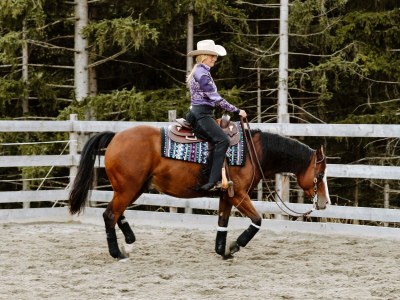 Holiday room Dreibettzimmer, Dusche, WC, neuwertig - Outdoor photo 21