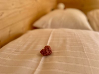 Apartment Ferienwohnung Bach - Outdoor photo 35