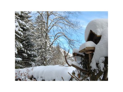 Apartment Ferienwohnung Gigi - Outdoor photo 7