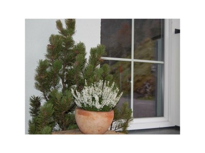 Apartment Ferienwohnung Gigi - Outdoor photo 17