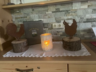 Apartment Ferienwohnung Kanzbergblick - Outdoor photo 15