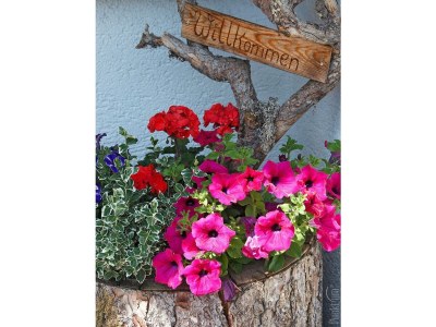 Apartment Ferienwohnung Kanzbergblick - Outdoor photo 27