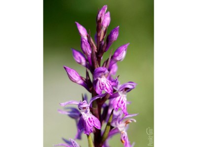 Apartment Ferienwohnung Klimmspitze - Outdoor photo 26