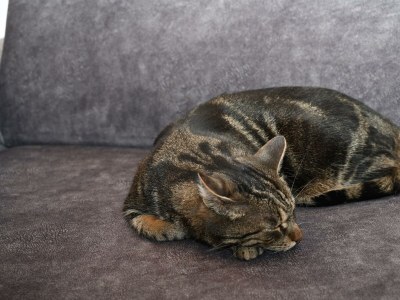 Apartment Appartement/Fewo, Dusche, WC, Flussblick - Outdoor photo 45