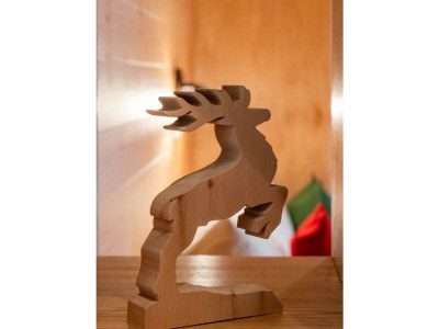 Apartment Ferienwohnung Heidi - Features photo 33