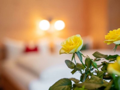 Apartment Ferienwohnung Heidi - Features photo 39