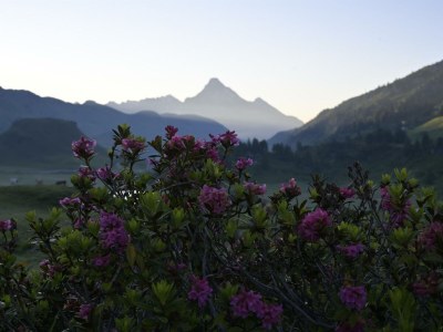 Apartment Appartement/Fewo, Dusche, WC, Bergseite - Outdoor photo 47