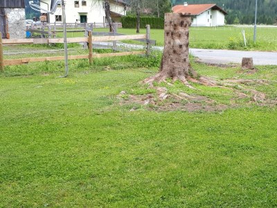 Apartment Ferienhaus Monika - Outdoor photo 4