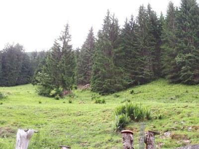 Apartment Ferienhaus Monika - Outdoor photo 6