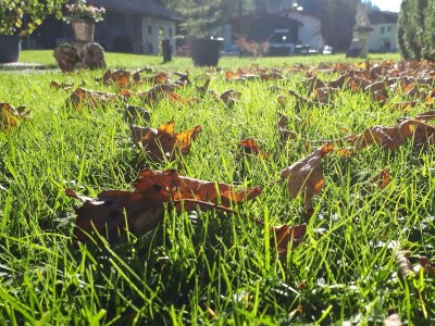 Apartment Ferienhaus Monika - Outdoor photo 18