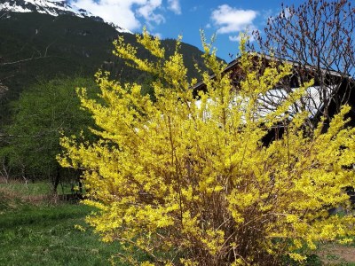 Apartment Ferienhaus Monika - Outdoor photo 19