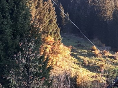 Apartment Ferienhaus Monika - Outdoor photo 20