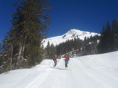 Apartment Ferienhaus Monika - Outdoor photo 24