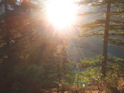 Apartment Ferienhaus Monika - Outdoor photo 28