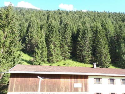 Apartment Ferienhaus Monika - Outdoor photo 32