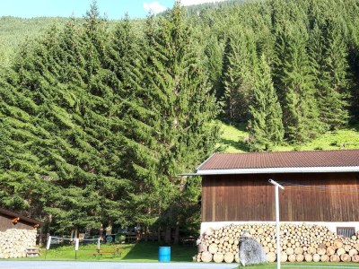 Apartment Ferienhaus Monika - Outdoor photo 33