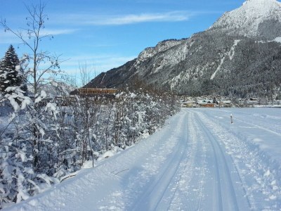 Apartment Ferienhaus Monika - Outdoor photo 46