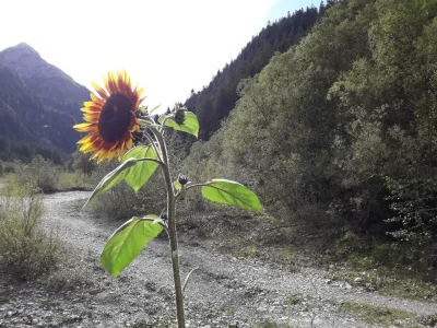 Apartment FW 1 Adlerhorst - Outdoor photo 18