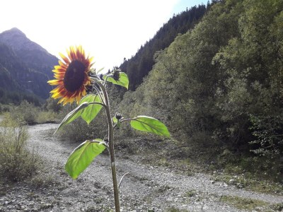 Apartment Ferienhaus, Toilette und Bad/Dusche getrennt, Delu - Outdoor photo 22