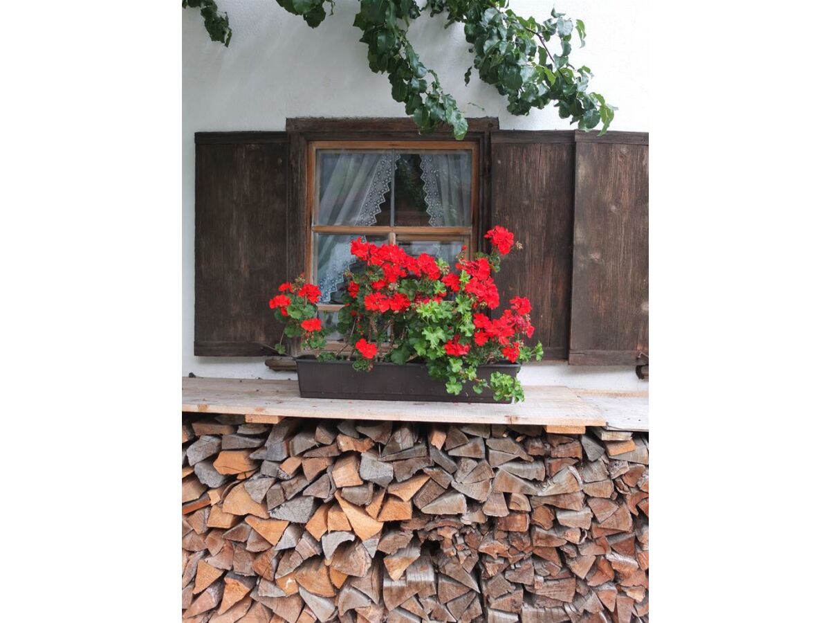 Apartment Bauernhaus Ramona - Outdoor photo 3