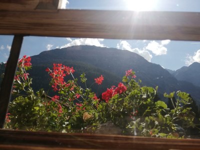 Apartment Bauernhaus Ramona - Features photo 13