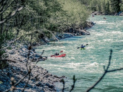 Holiday room Doppelzimmer Waldblick - Outdoor photo 28