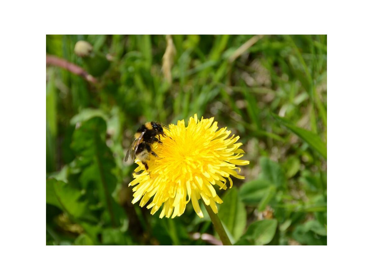 Holiday room Mehrbettzimmer - Outdoor photo 3