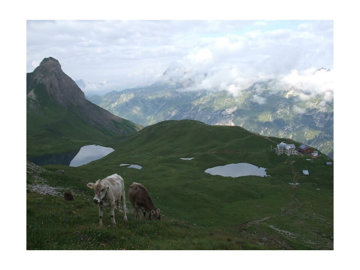 Holiday room Mehrbettzimmer - Outdoor photo 4