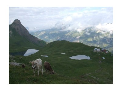 Holiday room Mehrbettzimmer - Outdoor photo 4