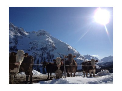 Holiday room Mehrbettzimmer - Outdoor photo 7