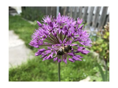 Holiday room Mehrbettzimmer - Outdoor photo 17