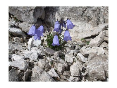 Holiday room Mehrbettzimmer - Outdoor photo 20