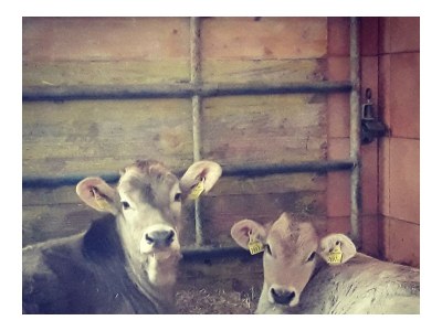 Holiday room Mehrbettzimmer - Outdoor photo 24