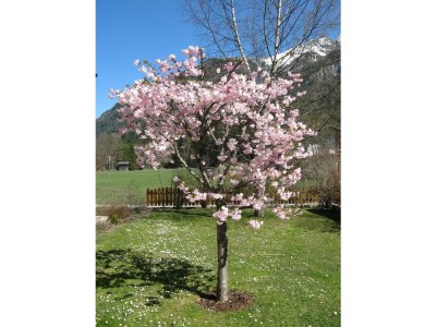 Apartment FW 3 - Outdoor photo 9