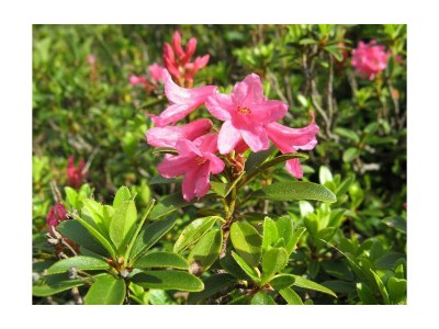 Apartment FW 3 - Outdoor photo 11