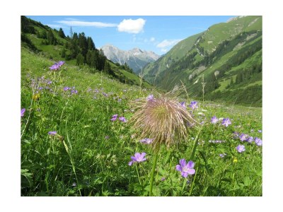 Apartment FW 3 - Outdoor photo 12