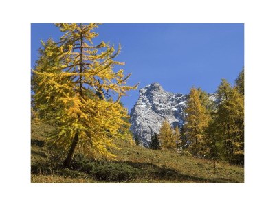 Apartment FW 3 - Outdoor photo 24