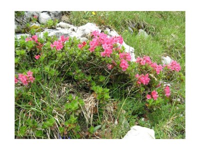 Apartment FW 3 - Outdoor photo 25