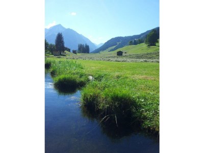 Apartment Typ 1/2 - Outdoor photo 10