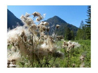 Holiday room Familienzimmer -Doppelzimmer - Outdoor photo 8
