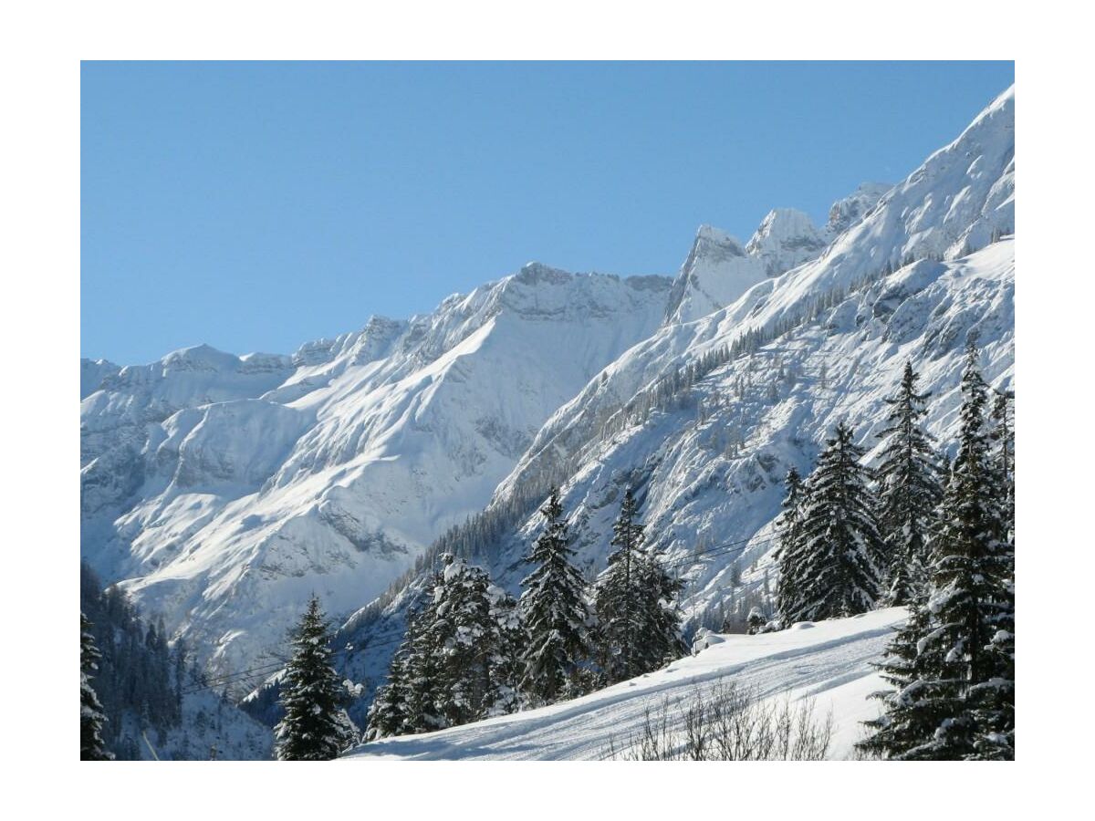 Apartment Appartement/Fewo