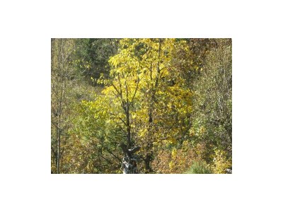 Apartment Appartement/Fewo - Outdoor photo 14